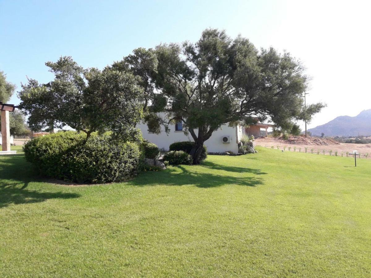 B&B Majore Olbia Exterior photo