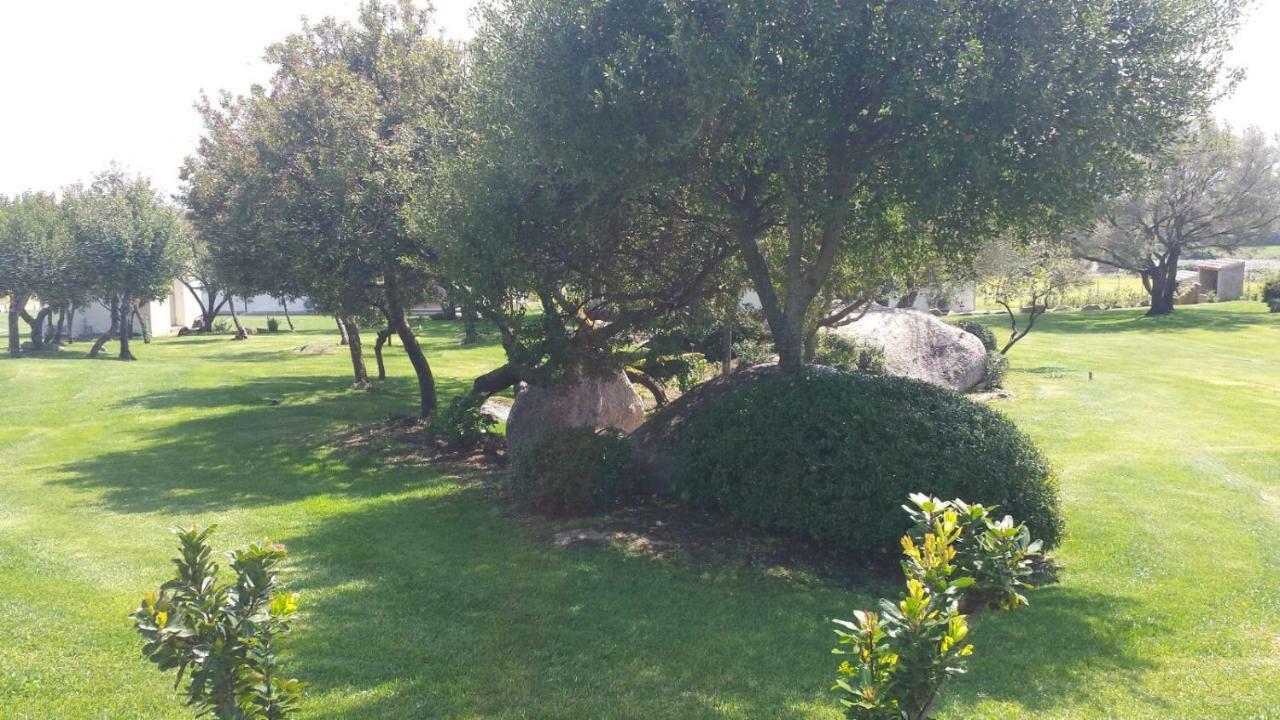 B&B Majore Olbia Exterior photo