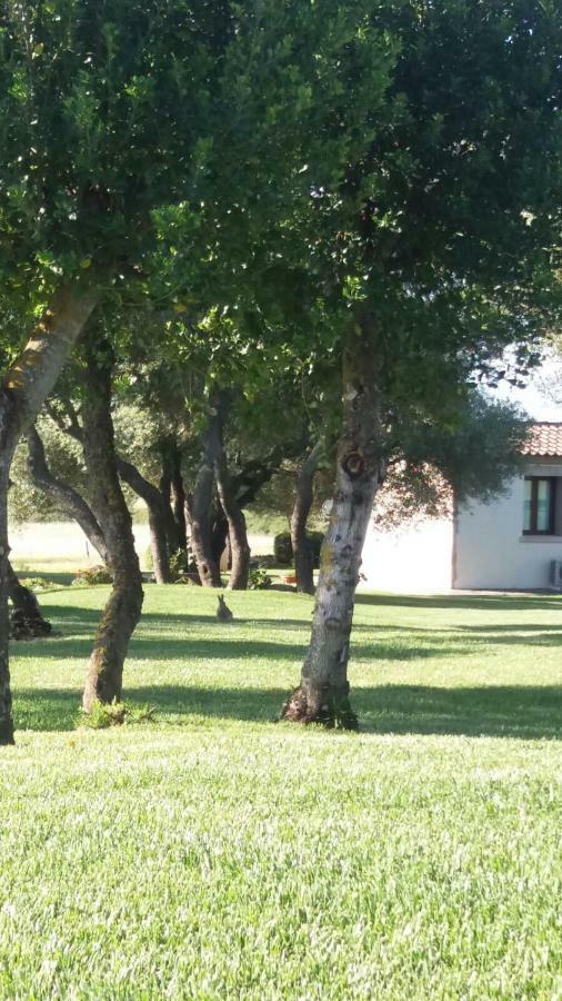 B&B Majore Olbia Exterior photo